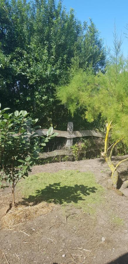 L Hyppo Camp' Bed & Breakfast Oye-Plage Luaran gambar