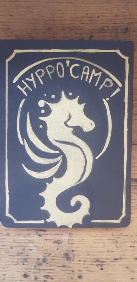 L Hyppo Camp' Bed & Breakfast Oye-Plage Luaran gambar